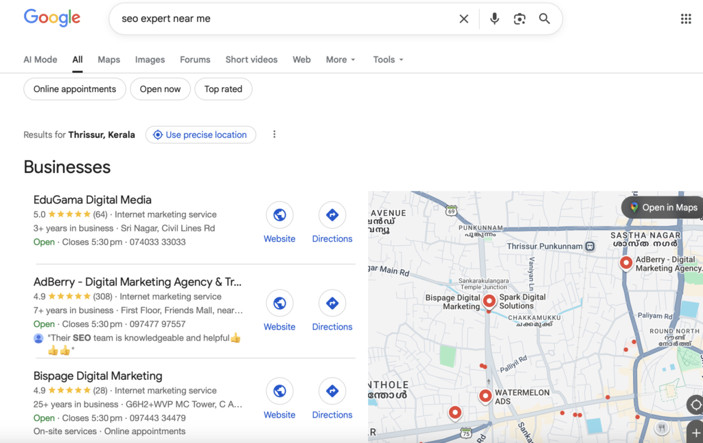 google maps local search results